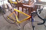 IMG-20120520-WA0001.jpg