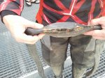 20120819141308.jpg