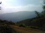 IMG334 1.jpg