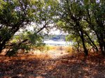 DSC00083.jpg