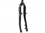 Ritchey_WCSCarbonMTBDisc.JPG