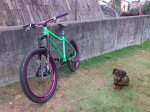 vival y bike.jpg