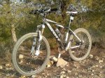 SCOTT 006-FONDO-FORO.jpg