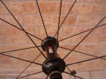 DSC05672.JPG