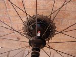 DSC05673.JPG