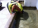 IMG-20120820-WA0009.jpg
