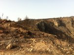 IMG-20120820-WA0014.jpg