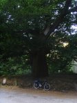 PIC_4328.JPG