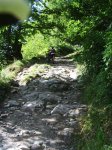 PIC_4334.JPG
