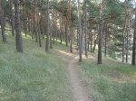 P9170436.JPG