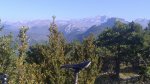 PIRINEO _012 021.jpg
