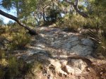 CIMG2257 (Copiar).JPG