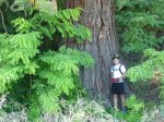 Cabez&#243;n 26082012 001 (Copiar).jpg