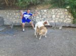 ImageUploadedByTapatalk1345998847.402543.jpg