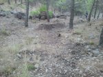 2012-08-25 20.19.05.jpg