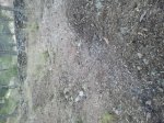 2012-08-25 20.19.23.jpg
