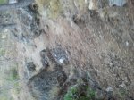 2012-08-25 20.20.34.jpg