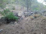 2012-08-25 20.24.58.jpg