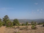 camerazoom2012082010071.jpg