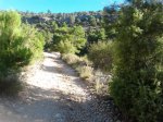 camerazoom2012082409281.jpg