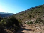 camerazoom2012082409282.jpg