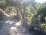 camerazoom2012082409324.jpg