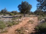 camerazoom2012082410385.jpg