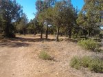camerazoom2012082410450.jpg