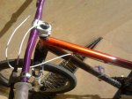 IMG-20120828-WA0000.jpg