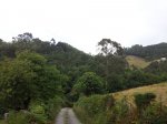 20120824_185901.jpg