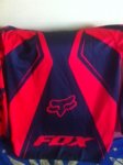 fox roja 2.JPG