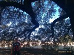 IMAG0260_1.jpg