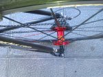 IMAG0342.jpg
