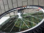 20120814_110142.jpg
