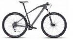 carbon 29.JPG