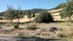 23082012311.jpg