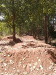 2012-08-30 13.03.46.jpg
