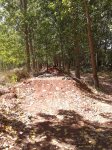 2012-08-30 13.04.15.jpg