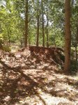 2012-08-30 13.05.10.jpg