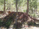 2012-08-30 13.05.23.jpg