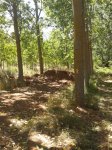 2012-08-30 13.05.29.jpg