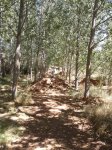 2012-08-30 13.05.49.jpg