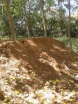 2012-08-30 13.17.03.jpg