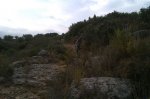 IMAG0046.jpg