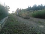Foto4915W.jpg
