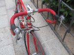 Olmo14.jpg