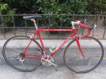 Olmo02.jpg