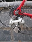 Olmo09.jpg