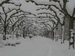 nieve7.jpg