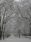 nieve9.jpg